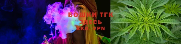 ПСИЛОЦИБИНОВЫЕ ГРИБЫ Абаза
