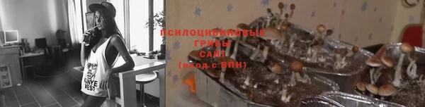молекула духа Семикаракорск