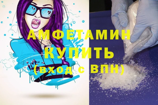 ПСИЛОЦИБИНОВЫЕ ГРИБЫ Абаза