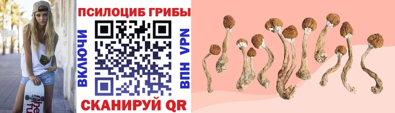 Галлюциногенные грибы Cubensis  дарк нет Telegram  Агидель  как найти закладки 